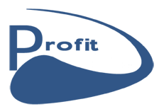 Profit - Program partnerski